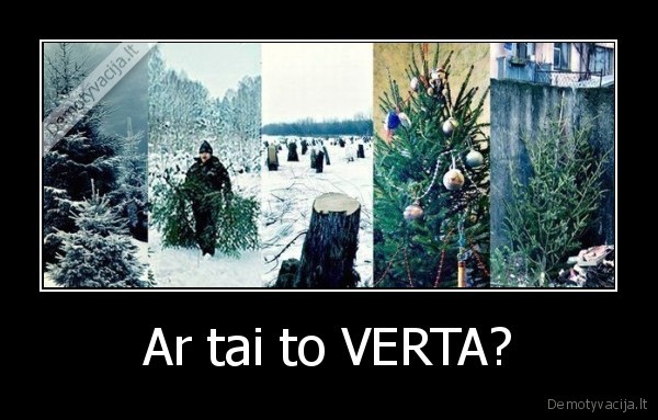 Ar tai to VERTA? - 