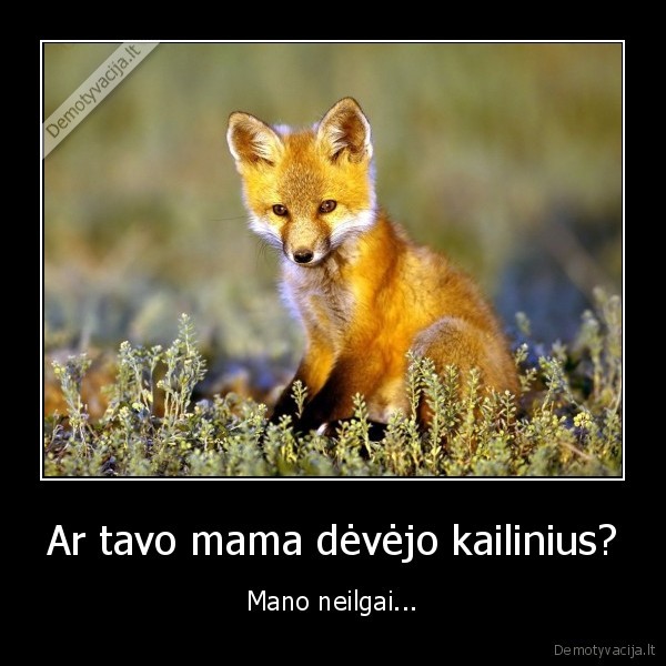 Ar tavo mama dėvėjo kailinius? - Mano neilgai...