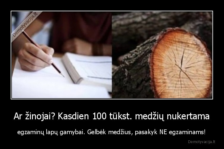 Ar žinojai? Kasdien 100 tūkst. medžių nukertama - egzaminų lapų gamybai. Gelbėk medžius, pasakyk NE egzaminams!