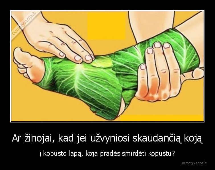 Ar žinojai, kad jei užvyniosi skaudančią koją - į kopūsto lapą, koja pradės smirdėti kopūstu?