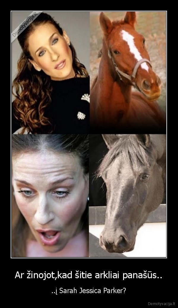 Ar žinojot,kad šitie arkliai panašūs.. - ..į Sarah Jessica Parker?