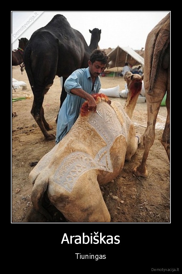 Arabiškas - Tiuningas