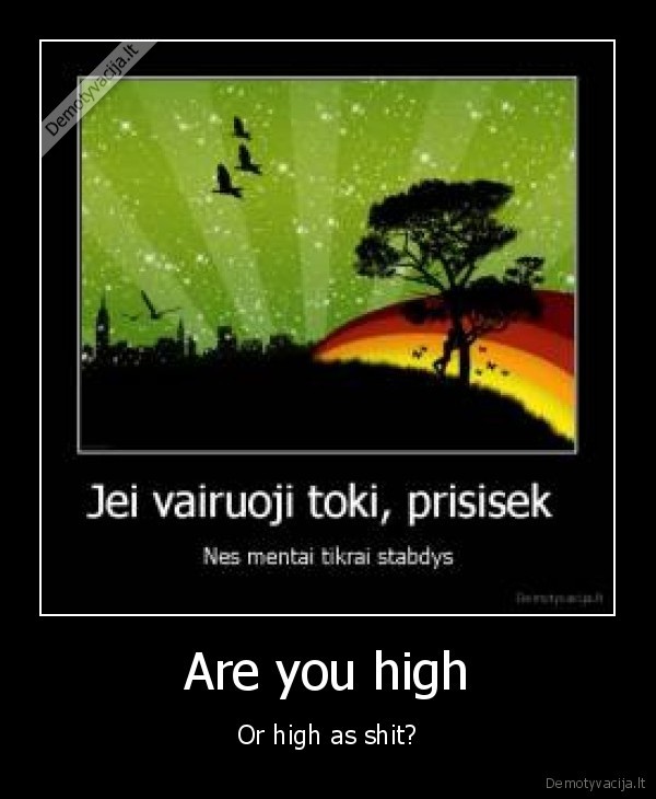 Are you high - Or high as shit?