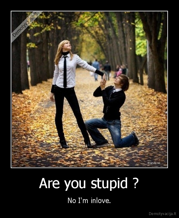 Are you stupid ? - No I'm inlove.