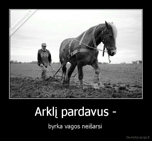 Arklį pardavus - - byrka vagos neišarsi 