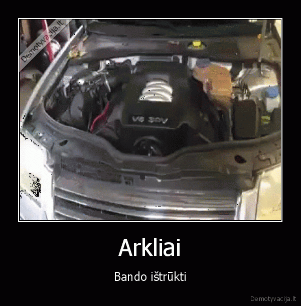 Arkliai - Bando ištrūkti
