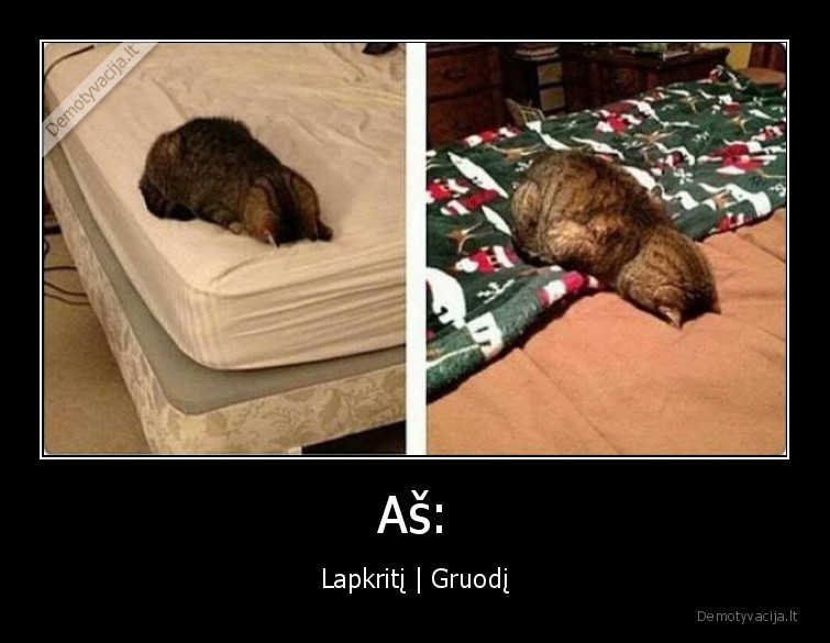 Aš: - Lapkritį | Gruodį