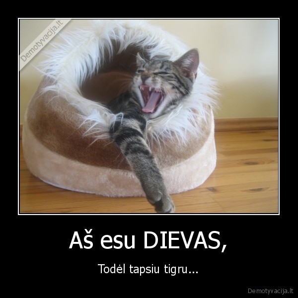 Aš esu DIEVAS, - Todėl tapsiu tigru...