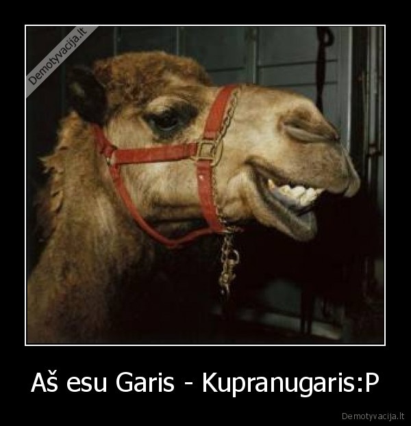 Aš esu Garis - Kupranugaris:P - 