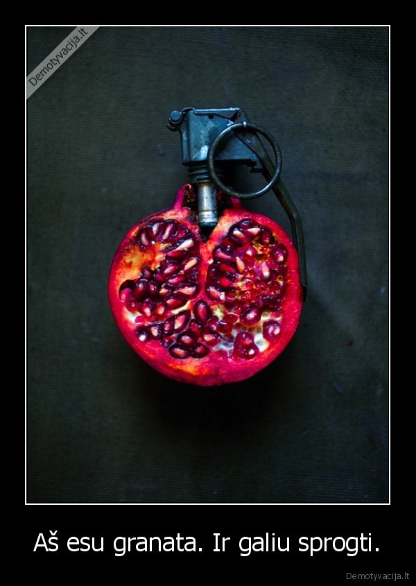 Aš esu granata. Ir galiu sprogti. - 