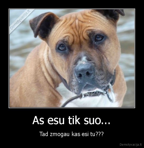 As esu tik suo... - Tad zmogau kas esi tu???