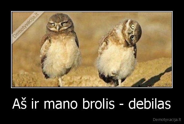 Aš ir mano brolis - debilas - 