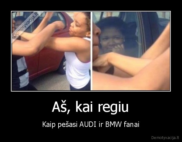 Aš, kai regiu - Kaip pešasi AUDI ir BMW fanai