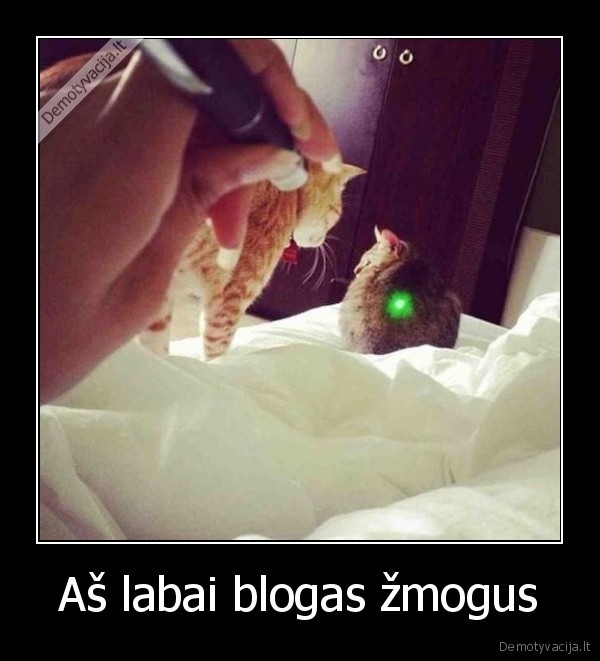 Aš labai blogas žmogus - 