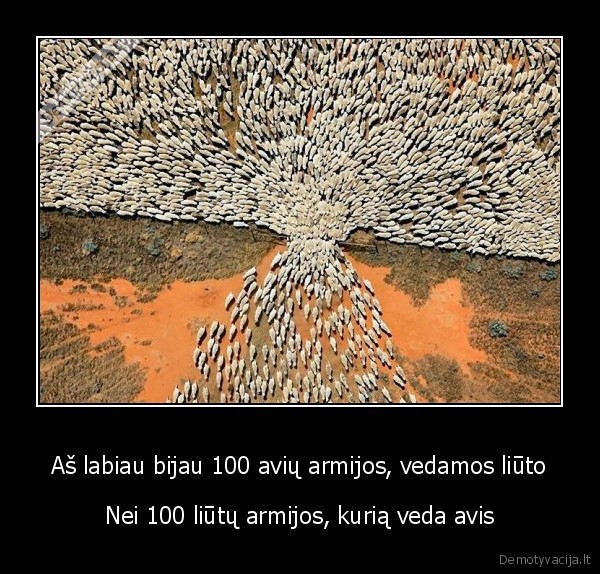 Aš labiau bijau 100 avių armijos, vedamos liūto - Nei 100 liūtų armijos, kurią veda avis
