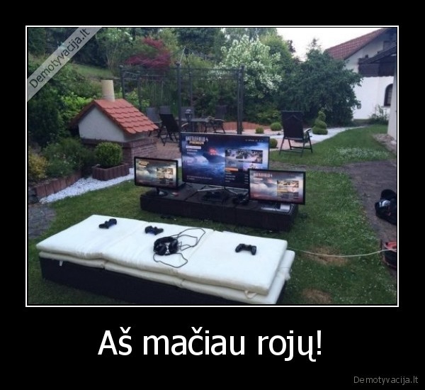 Aš mačiau rojų! - 