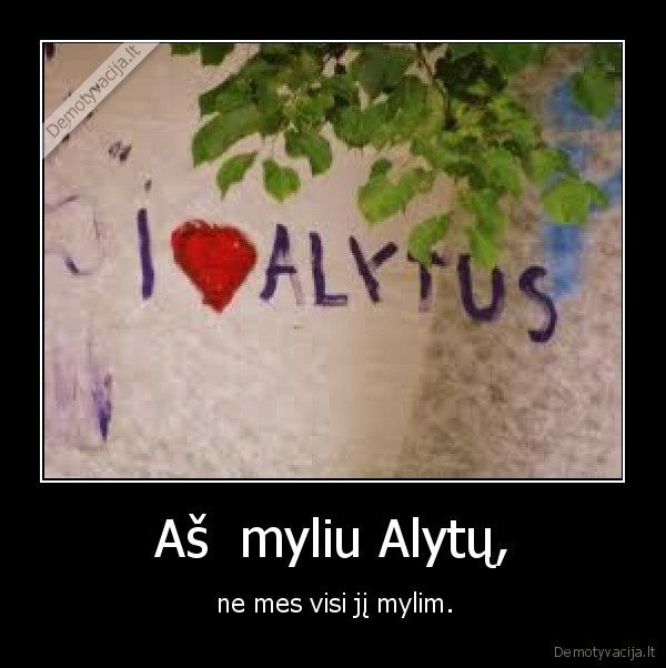 Aš  myliu Alytų, -  ne mes visi jį mylim.