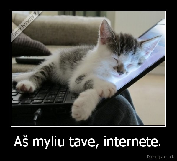 Aš myliu tave, internete. - 