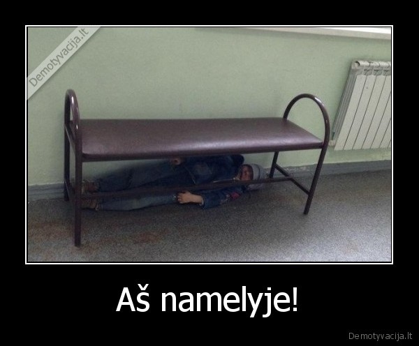 Aš namelyje! - 