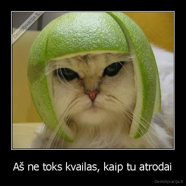 Aš ne toks kvailas, kaip tu atrodai - 