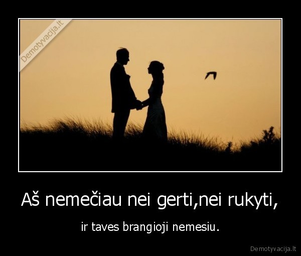Aš nemečiau nei gerti,nei rukyti, - ir taves brangioji nemesiu.
