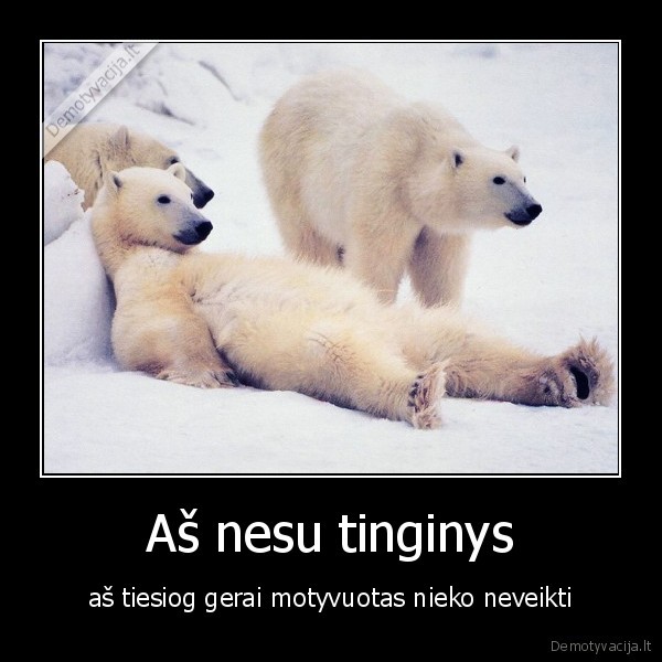 Aš nesu tinginys - aš tiesiog gerai motyvuotas nieko neveikti