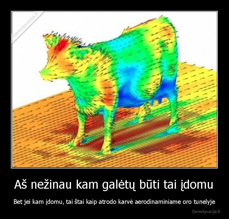 Aš nežinau kam galėtų būti tai įdomu - Bet jei kam įdomu, tai štai kaip atrodo karvė aerodinaminiame oro tunelyje