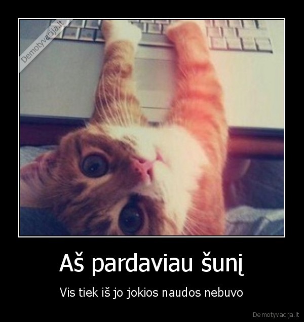 Aš pardaviau šunį - Vis tiek iš jo jokios naudos nebuvo