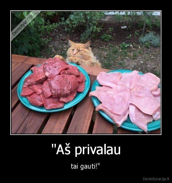 "Aš privalau - tai gauti!"