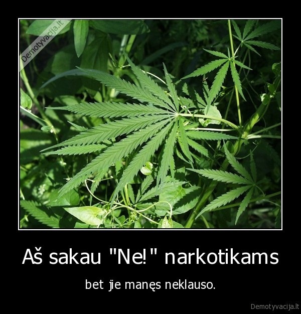 Aš sakau "Ne!" narkotikams - bet jie manęs neklauso.