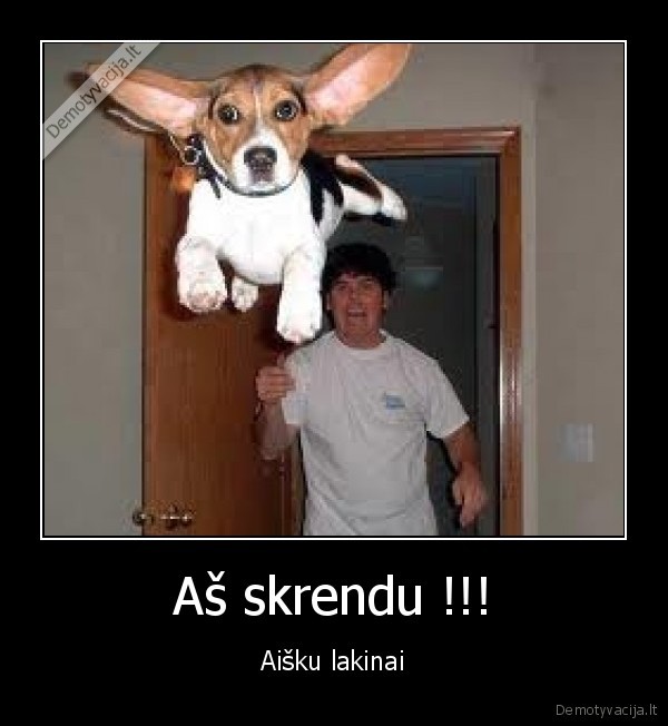 Aš skrendu !!! - Aišku lakinai