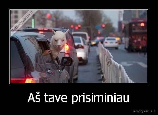 Aš tave prisiminiau - 