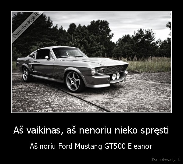 Aš vaikinas, aš nenoriu nieko spręsti - Aš noriu Ford Mustang GT500 Eleanor