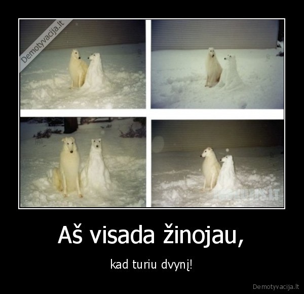 Aš visada žinojau, - kad turiu dvynį!