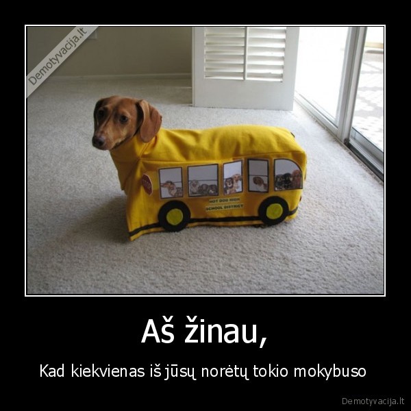 Aš žinau, - Kad kiekvienas iš jūsų norėtų tokio mokybuso 