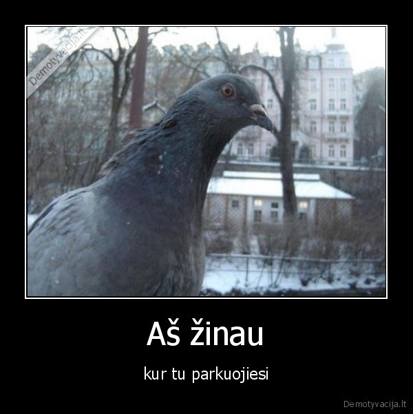 Aš žinau - kur tu parkuojiesi