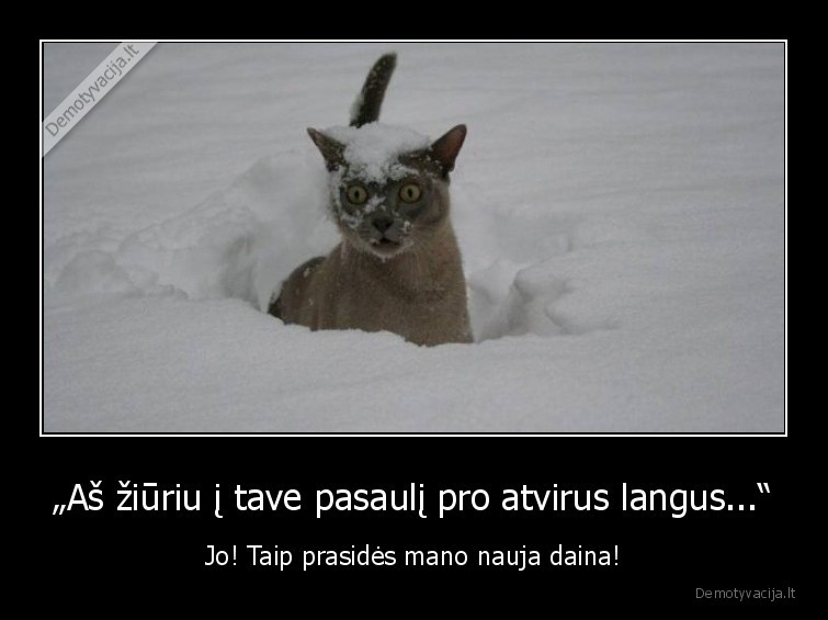 „Aš žiūriu į tave pasaulį pro atvirus langus...“ - Jo! Taip prasidės mano nauja daina!