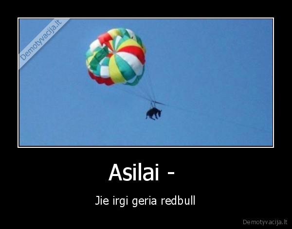 Asilai -  - Jie irgi geria redbull