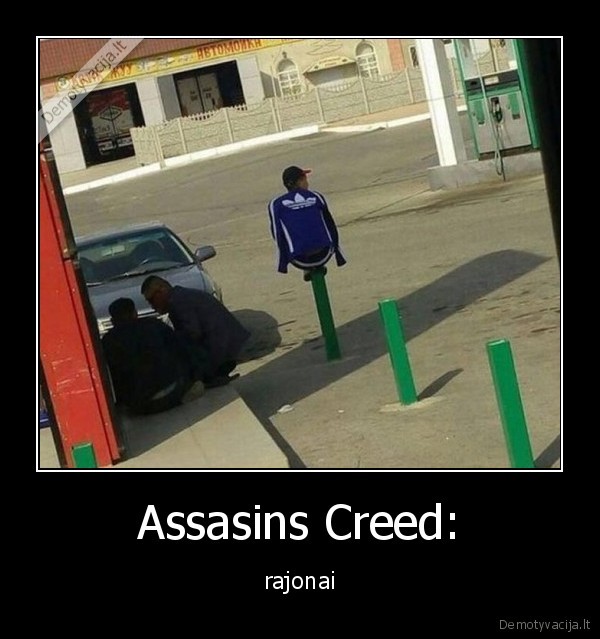 Assasins Creed: - rajonai