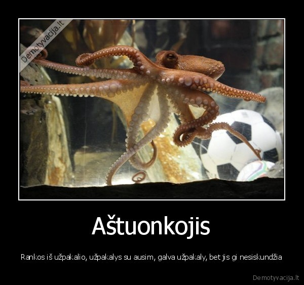 Aštuonkojis - Rankos iš užpakalio, užpakalys su ausim, galva užpakaly, bet jis gi nesiskundžia