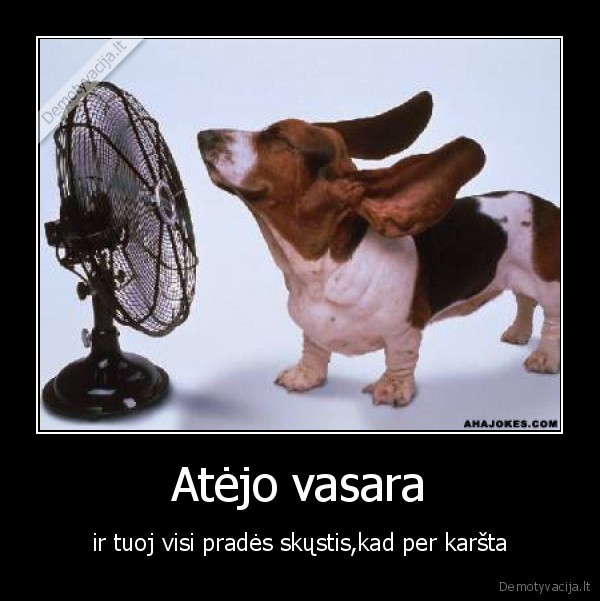 Atėjo vasara - ir tuoj visi pradės skųstis,kad per karšta