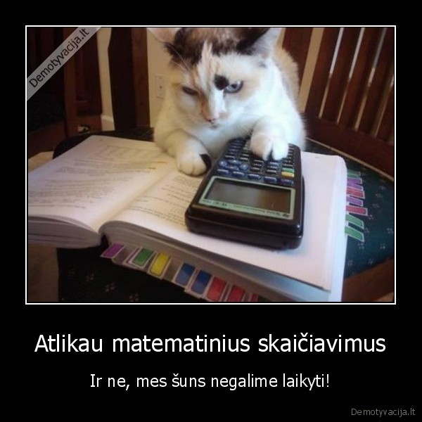 Atlikau matematinius skaičiavimus - Ir ne, mes šuns negalime laikyti!