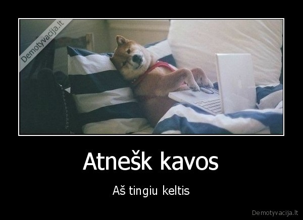 Atnešk kavos - Aš tingiu keltis