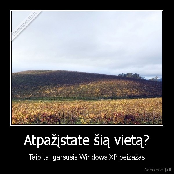 Atpažįstate šią vietą? - Taip tai garsusis Windows XP peizažas