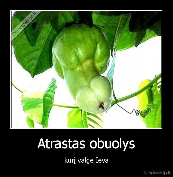 Atrastas obuolys - kurį valgė Ieva