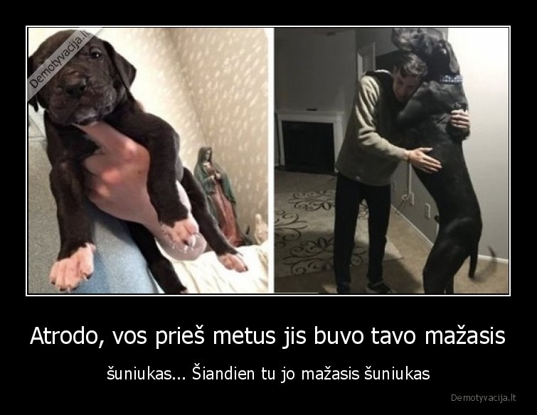 Atrodo, vos prieš metus jis buvo tavo mažasis - šuniukas... Šiandien tu jo mažasis šuniukas