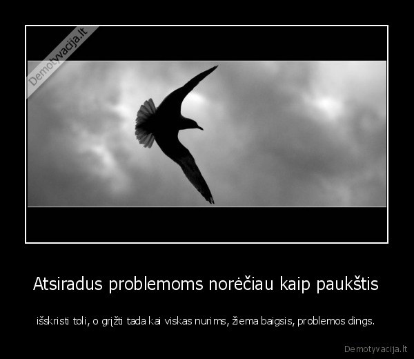 Atsiradus problemoms norėčiau kaip paukštis - išskristi toli, o grįžti tada kai viskas nurims, žiema baigsis, problemos dings.