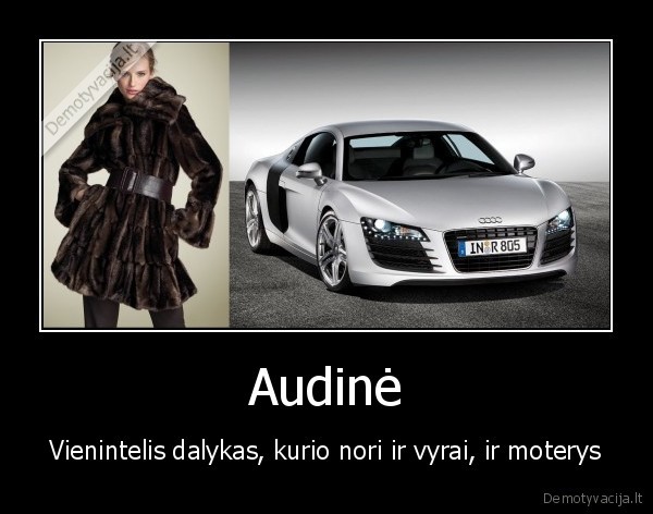 Audinė - Vienintelis dalykas, kurio nori ir vyrai, ir moterys