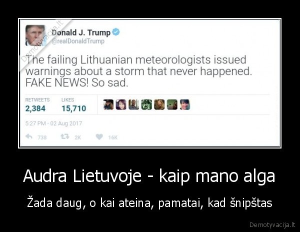 Audra Lietuvoje - kaip mano alga - Žada daug, o kai ateina, pamatai, kad šnipštas