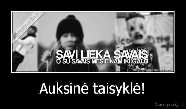 Auksinė taisyklė! - 